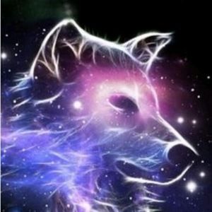 Meet your Posher, Mayra